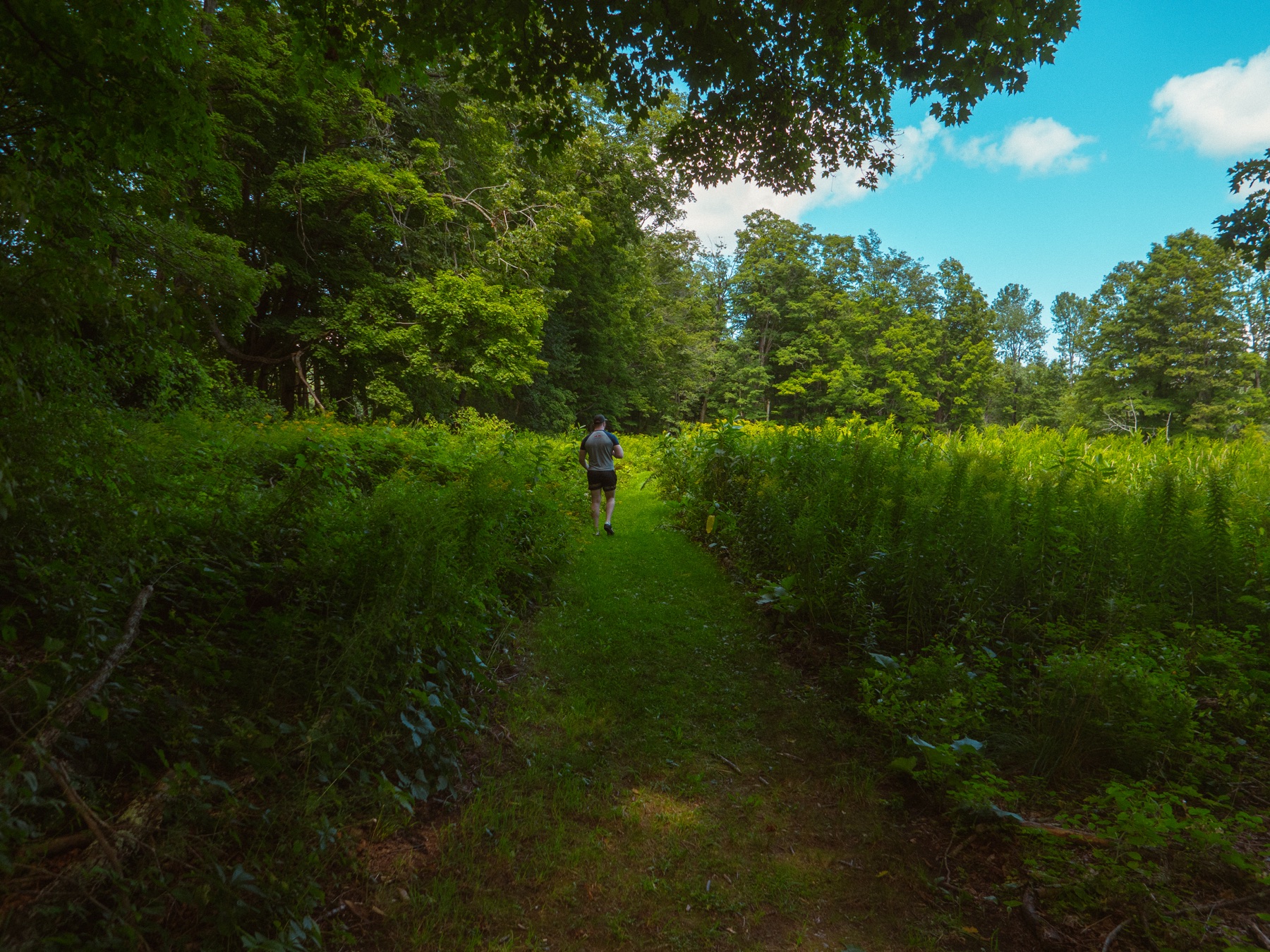 A wide road trip photograph from the northeastern United States